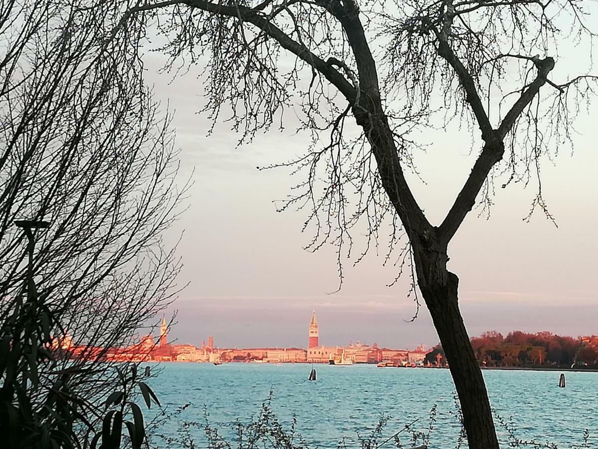 Bellavista Sanmarco Venice And Lagoon View Lido di Venezia Kültér fotó
